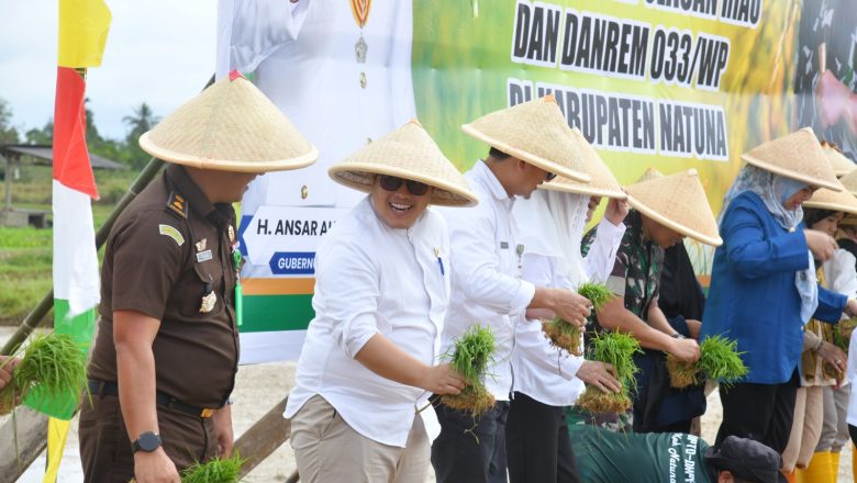 WAKIL KETUA I HADIR DAN IKUT SERTA DALAM PENANAMAN PADI PERDANA TAHUN 2025 DI KECAMATAN BUNGURAN BATUBI