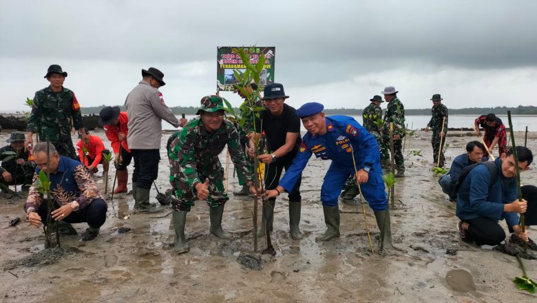 KETUA DPRD KABUPATEN NATUNA HADIRI KEGIATAN PENANAMAN POHON MANGROVE DALAM RANGKA TMMD ke-123 TA. 2025